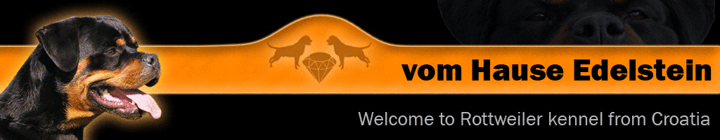 Welcome to "vom Hause Edelstein" rottweile kennel