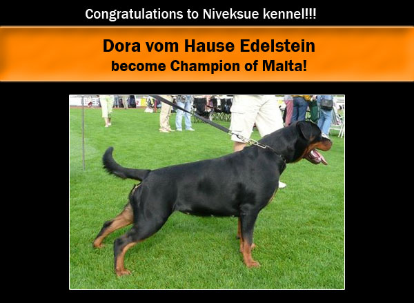 Dora vom Hause Edelstein become CHAMPION of MALTA!!!