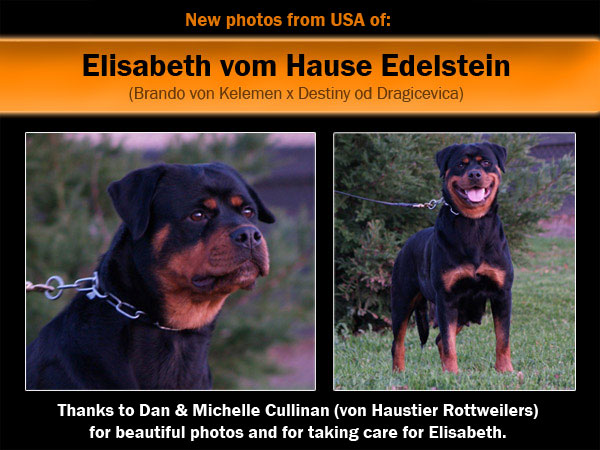 Elisabeth vom Hause Edelstein