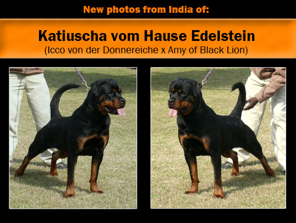 Katiuscha v.Hause edelstein