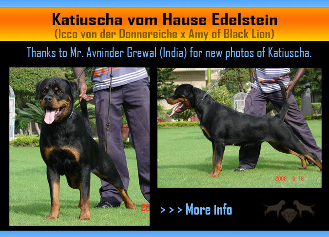 Katiuscha vom Hause Edelstein