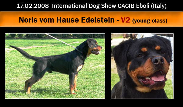 Noris vom Hause Edelstein
