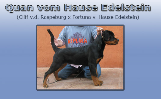 Quan v. Hause Edelstein