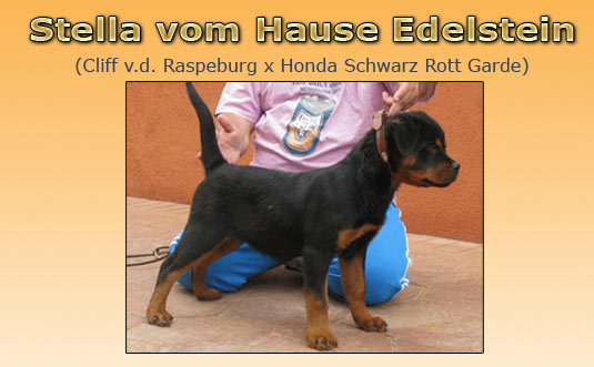 Stella vom Hause Edelstein