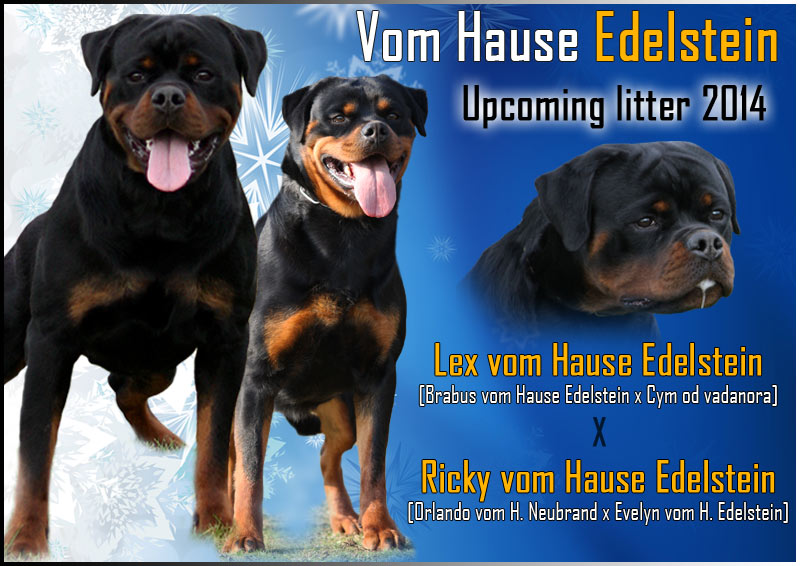 vom Hause Edelstein